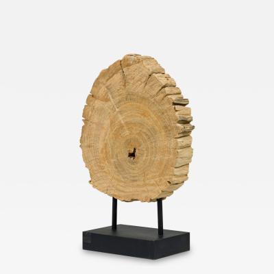 American Petried Wood Table Sculpture