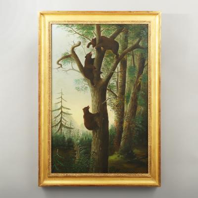 American School Three Bear Cubs Playing in a Tree
