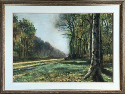 American School Twilight Forest Lane 