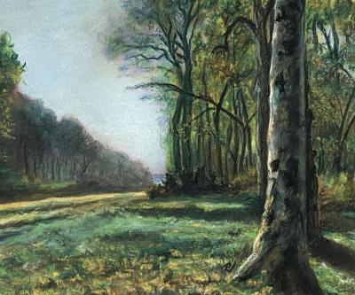 American School Twilight Forest Lane 