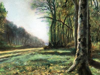 American School Twilight Forest Lane 