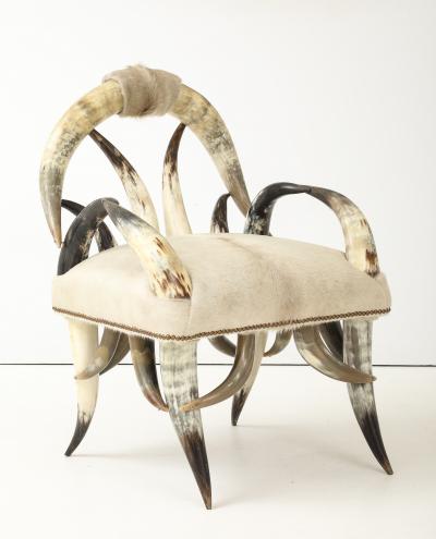 American Steerhorn Hide Chair