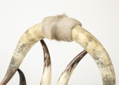 American Steerhorn Hide Chair
