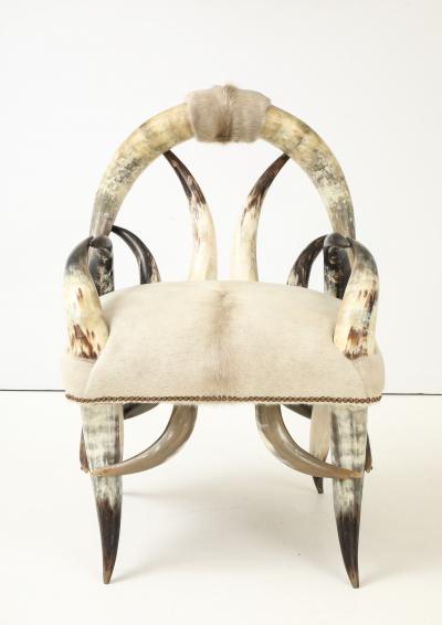 American Steerhorn Hide Chair