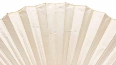 American Victorian Decorative Hand Fan