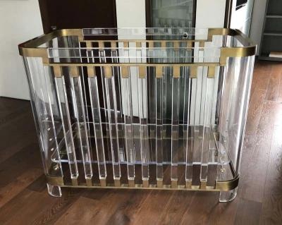 Amparo Calderon Tapia Lithe Lucite Brass Baby Crib by Amparo Calderon Tapia