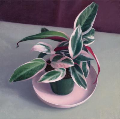 Amy Weiskopf Pink and Green Plant