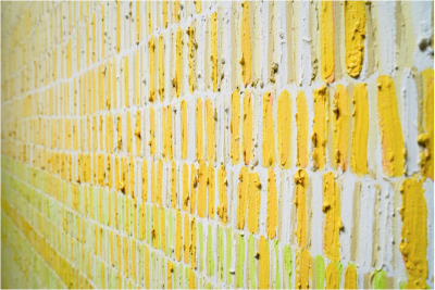 Ana D Castro D compos series Lilies 2017