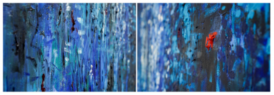 Ana D Castro Nature series Deep Blue 