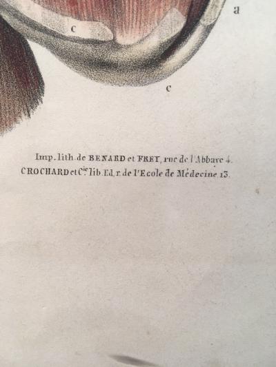 Anatomical prints by Doctor Bourgery and artist Jacob