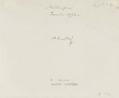 Andr Kert sz Framed Vintage Photography by Andr Kert sz