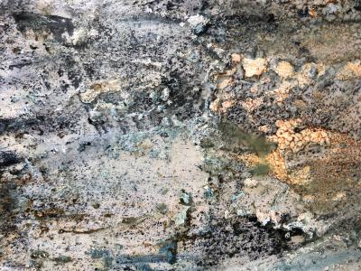 Andrea Bonfils Deep Woods