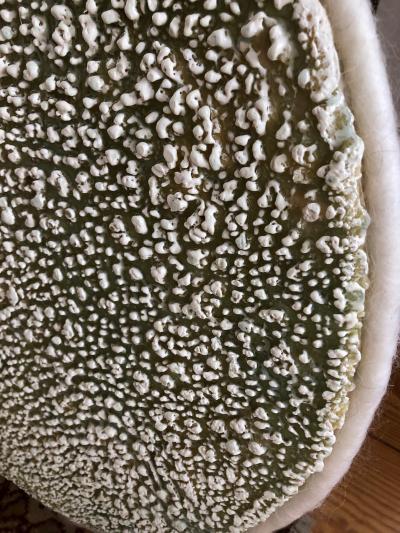 Andrea Bonfils Portal Triptych