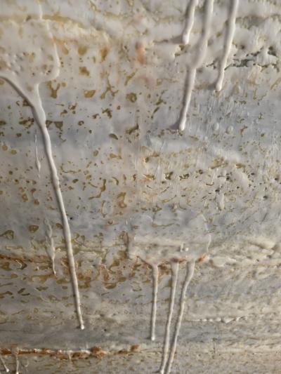 Andrea Bonfils Sound Waves