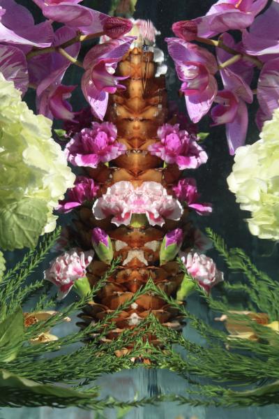 Andrea Bonfils Submerged Garden 0312