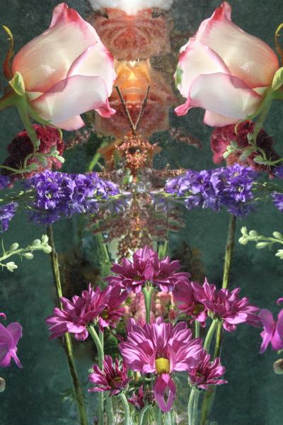 Andrea Bonfils Submerged Garden 0674
