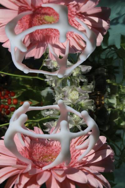 Andrea Bonfils Submerged Garden 6243
