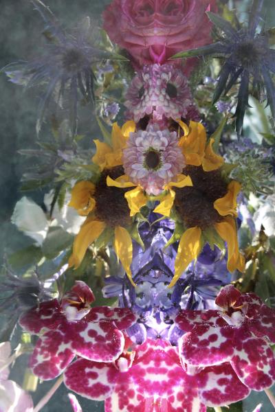 Andrea Bonfils Submerged Garden 6496