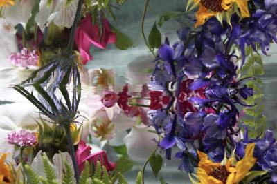 Andrea Bonfils Submerged Garden 6859