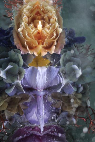 Andrea Bonfils Submerged Garden 8061