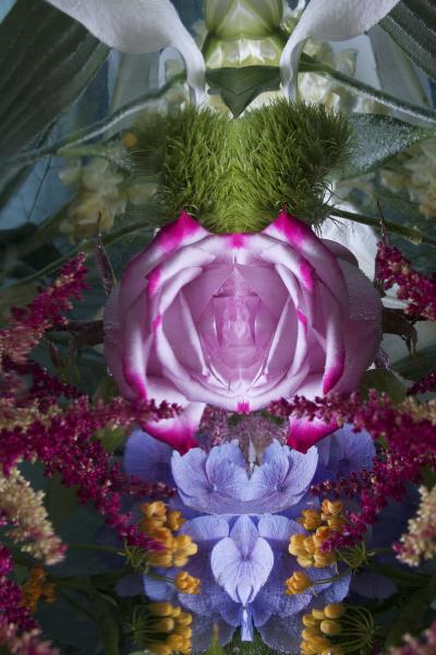Andrea Bonfils Submerged Garden 8148