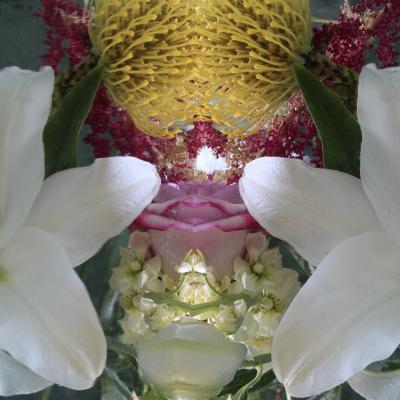 Andrea Bonfils Submerged Garden 8293