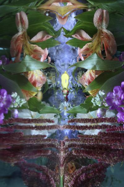 Andrea Bonfils Submerged Garden 9323