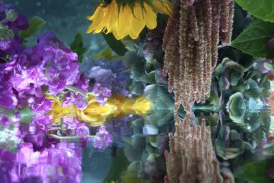 Andrea Bonfils Submerged Garden 9421