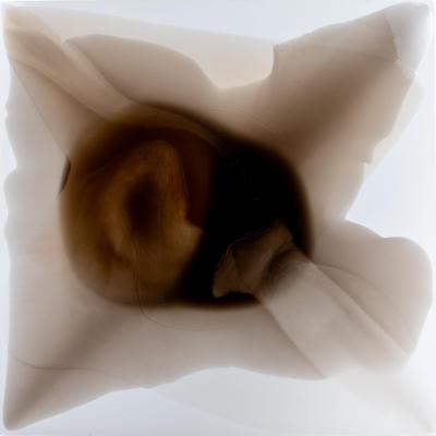 Andreas Anastasis Modern Resin Art by Andreas Anastasis
