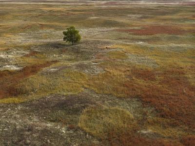 Andrew Moore Autumn Grasses Sheridan County