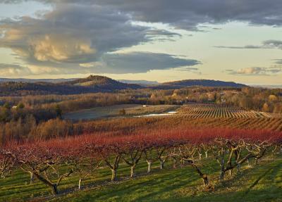 Andrew Moore Eger Brothers Farm Livingston