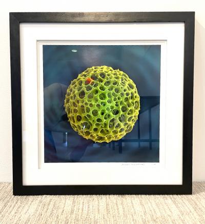 Andrew Paul Leonard Arosphaera Radiolarian Electron Microscope Photograph by Andrew Paul Leonard