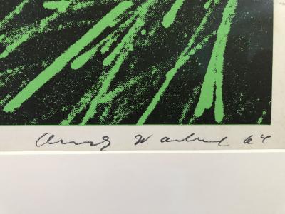 Andy Warhol Andy Warhol Flowers offset Lithograph FS 11 6