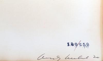 Andy Warhol Flowers FS II 69 