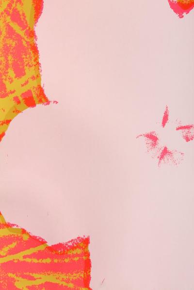 Andy Warhol Flowers FS II 69 