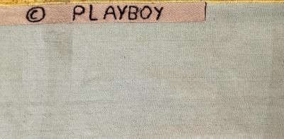 Andy Warhol Playboy