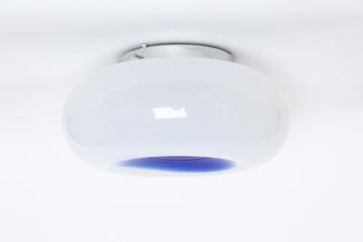 Angelo Brotto Murano flush mount lights by Angelo Brotto for Esperia