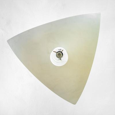 Angelo Lelli Lelii Angelo Lelii for Arredoluce Chandelier mod Vela