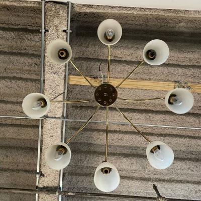 Angelo Lelli Lelii Italian Mid Century Modern Arredoluce Eight Arm Brass Chandelier by Angelo Lelli