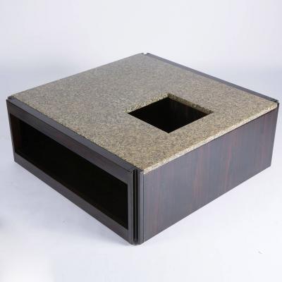 Angelo Mangiarotti Low Table by Angelo Mangiarotti for Molteni