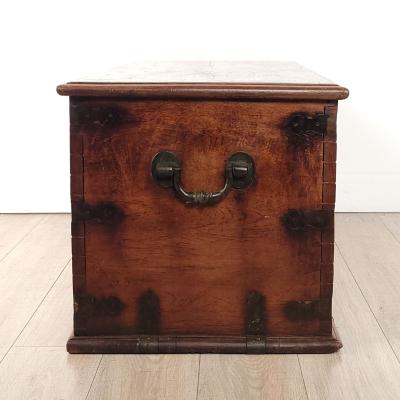 Anglo Indian Hardwood Chest Trunk 19th century
