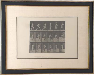Animal Locomotion Eadweard Muybridge 1887 Plate 10
