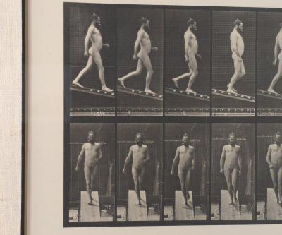 Animal Locomotion Eadweard Muybridge 1887 Plate 113