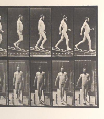 Animal Locomotion Eadweard Muybridge 1887 Plate 113