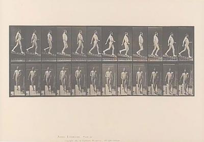 Animal Locomotion Eadweard Muybridge 1887 Plate 113