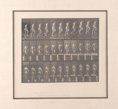 Animal Locomotion Eadweard Muybridge 1887 Plate 88