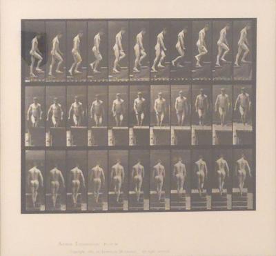Animal Locomotion Eadweard Muybridge 1887 Plate 88