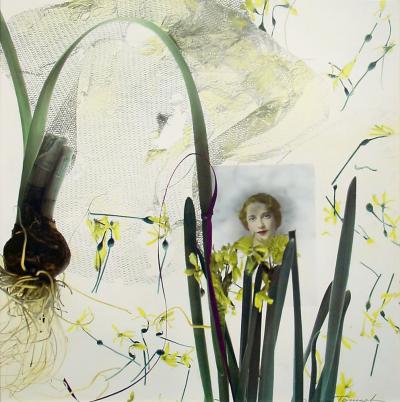 Anna Tomczak Narcissus I