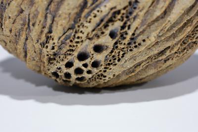 Anne Goldman Anne Goldman Stoneware Vase
