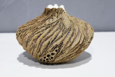 Anne Goldman Anne Goldman Stoneware Vase